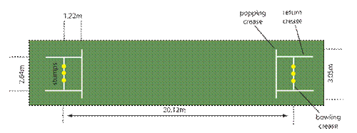 Cricket pitch
